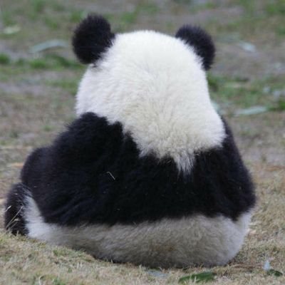 bebeko333's profile picture. 1978年３月生まれ。妊活中の44歳。

同世代で妊活を頑張ってる人との繋がりを持ちたくて作ったアカウントです。

採卵5回。
一度も着床したことない。
胚盤胞になかなかならない。
無言フォロー失礼します。