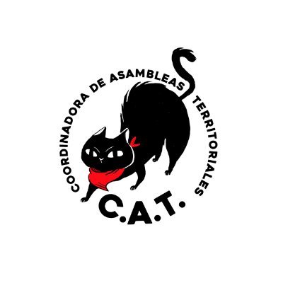 Somos la Coordinadora de Asambleas Territoriales de la RM (CAT)