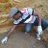 William Kumwembe
