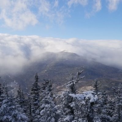 stevenchristop's profile picture. 