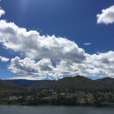 kelpa1's profile picture. 