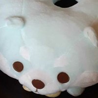 e 時々学校勤務 (@orangehead_1126) 's Twitter Profile Photo