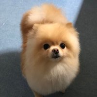 non (@non_type1) 's Twitter Profile