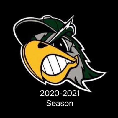 18uThomas's profile picture. 🥎🥎🥎College Prep/College Exposure 🥎 🥎🎓🎓🎓🎓2021-2022 Graduates 🎓🎓🎓🎓Instagram: @18u.dennison.silverhawks Facebook:@18USilverhawks