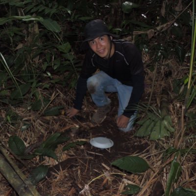 AriasAGustavo's profile picture. Biologist • Dung Beetles • 🇨🇴