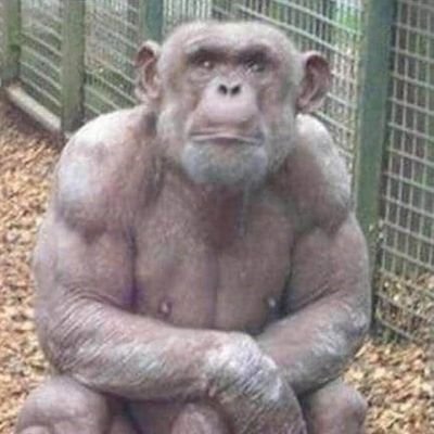 MackStruthers's profile picture. welcome to funnytown- population: my followers