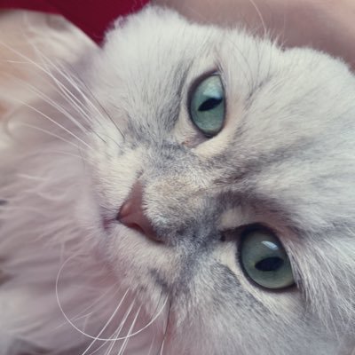 ウロコですさんのプロフィール画像