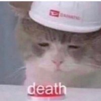 i might be depressed who knows (@hizzuhhh) 's Twitter Profile