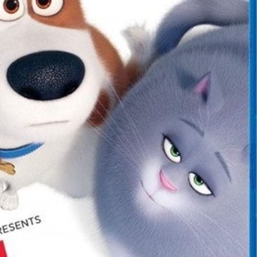 Raphaelmuteti's profile picture. Enthusiastic