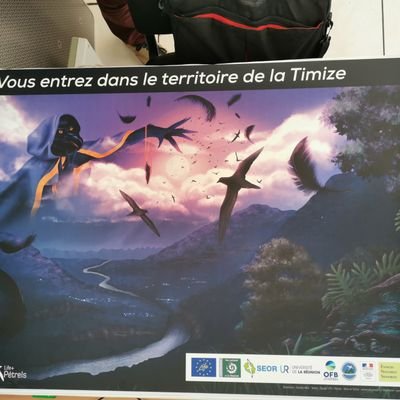 Naturaliste à large spectre basé à #LaRéunion. #pollutionlumineuse #seabirds #endangeredspecies #velotaf