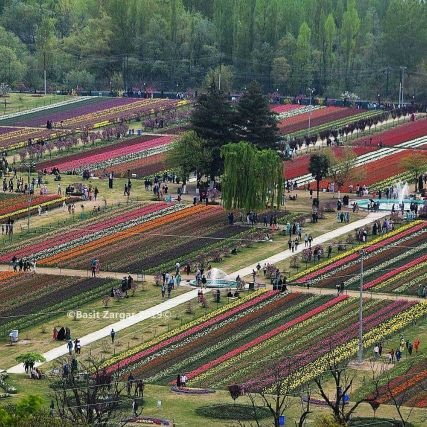 Proud Kashmiri|Hard-core Indian|Environmentalist|Pacifist|Tweets are Personal |RT Endorse