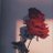 Cheila04194413's profile image