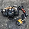 gonzui11's profile picture. ダイビングとゴミ拾いが趣味です。
