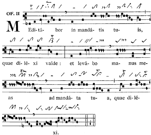 divini cultus sanctitatem