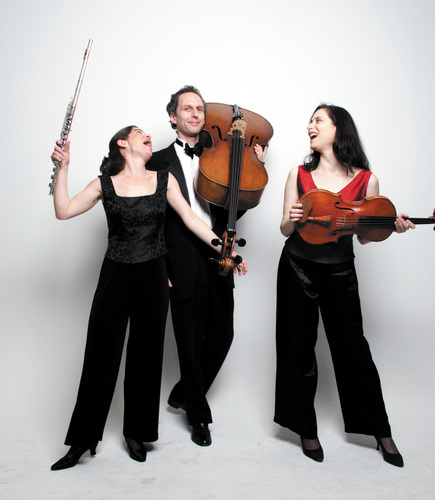 EightStringsW's profile picture. Flute, viola, cello trio.