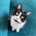 Cosmo Cat (@cosmic_poetry) Twitter profile photo Cosmo Cat (@cosmic_poetry) Twitter profile photo