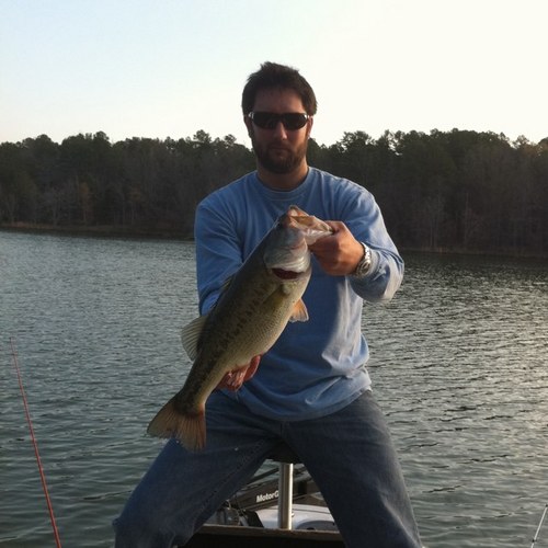 cwiygul's profile picture. 