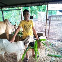 Ramchandra Ahirrao (@ramchandraahir6) 's Twitter Profile