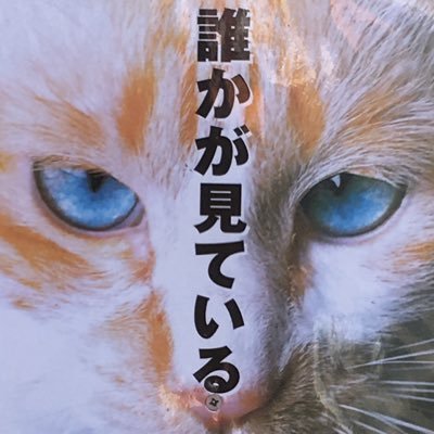 野毛に住みたいお酒好き マクロス好きさんはマクロス垢でも仲良くして下さい→@mii_nucco