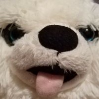Tori Miller (@jackalbot_snows) Twitter profile photo