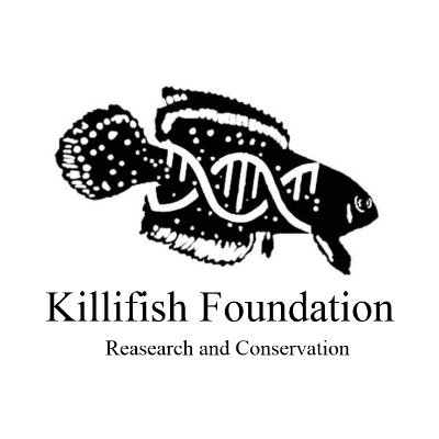 La Fundación Killifish está dedicada a la Investigación y Conservación de los peces Cyprinodontiformes, conocidos como  Killifish.