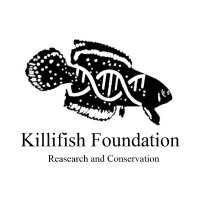Killifish Foundation - Research and Conservation(@Killisfundation) 's Twitter Profile Photo
