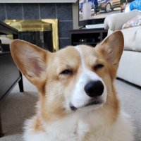 Bryant Smith (@bryantmsmith) 's Twitter Profile