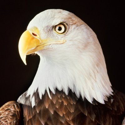 so_qwerty's profile picture. 