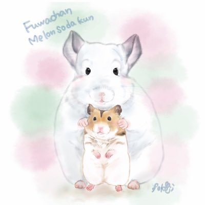 チンチラのふわちゃんさんのプロフィール画像