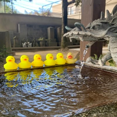 えみえりさんのプロフィール画像