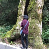 ふぁいふぉん (@fonfon0301) 's Twitter Profile