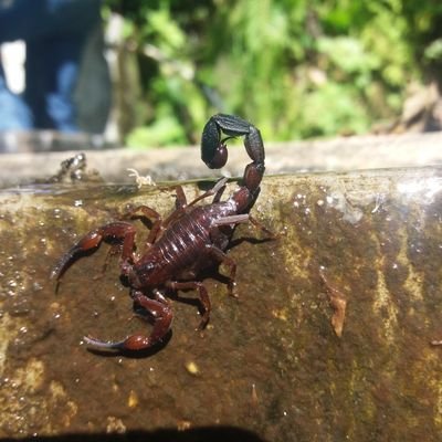 correabasto's profile picture. Opiniones personales desde mi poco conocimiento y experiencia en este mundo y país. ✍📒