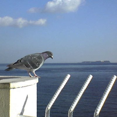 たこすけ (@ataka6719) / Posts / X