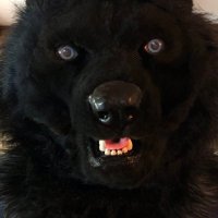 Jory Westwind (@jorywestwind) Twitter profile photo