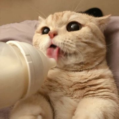 BluePirma's profile picture. My favorite game is Roblox. Please take good care of me.