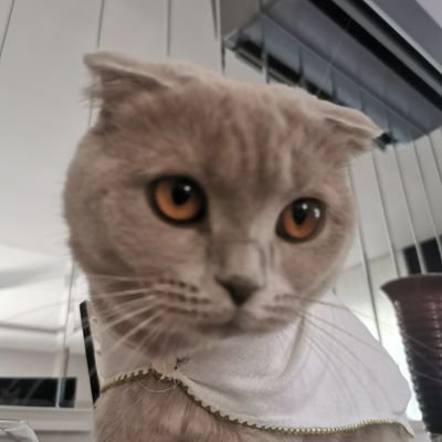 EGirgin16's profile picture. Be Inspired