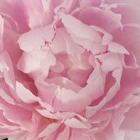 Fiona (@miss_fionam) 's Twitter Profile Photo