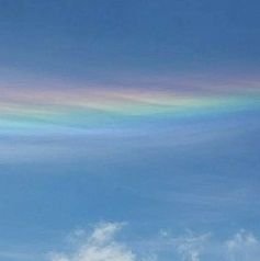 fuw_48's profile picture. 