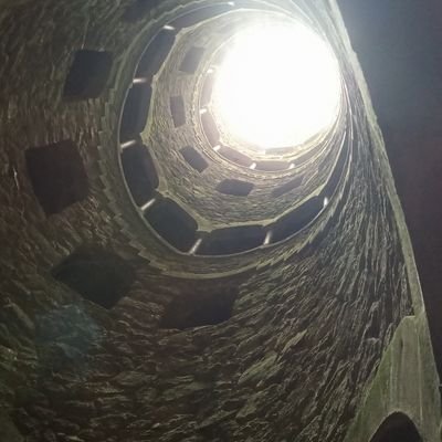 JSNSariKata's profile picture. Burguês de esquerda!