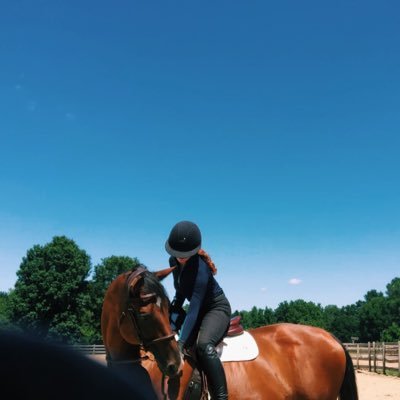 hunter rider who occasionally plays around in the dressage ring