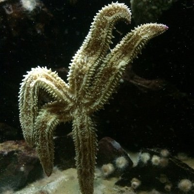 werewolfdu48's profile picture. Amusons-nous avant la fin du monde !!

Fan de cinéma !!