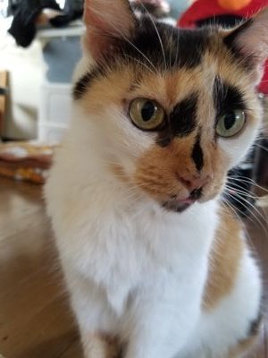 yuzumitsu0328's profile picture. SMAP⭐️中居正広💙
成人済みshipper⚙sotusから🇹🇭タイ沼/SK❤️🍀人見知りなので無言フォロー失礼します。🙇‍♀️