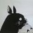 DeltaS89's profile image