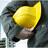 Construction Worker