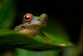 biosue's profile picture. Science educator