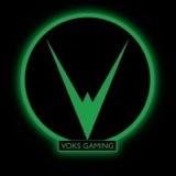 Sg gaming channel