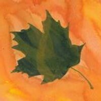 Carol McDougall (@salmonskyview) 's Twitter Profile Photo Carol McDougall (@salmonskyview) 's Twitter Profile Photo