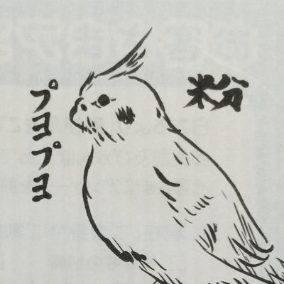 主に福井県と滋賀県で活動（帰省シーズンは関東にも出没）。可愛く撮るのが信条です。お気軽にフォローして下さい。#野鳥 #バードウォッチング