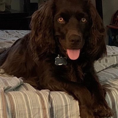 Denise74992442's profile picture. Big hearted