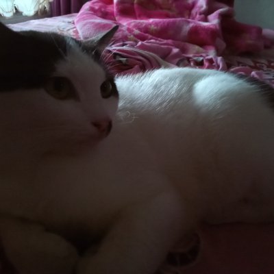 N08696792's profile picture. Sweet than your mouth